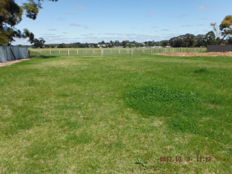 66B Arthur Street, Naracoorte SA 5271