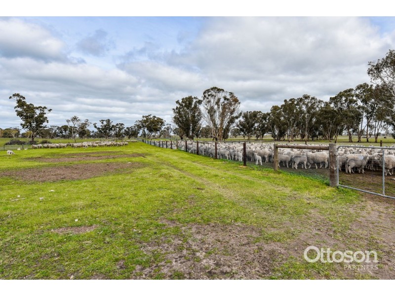 Sect 21 Walkington Hills Road, Frances SA 5262