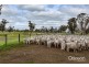 Sect 21 Walkington Hills Road, Frances SA 5262