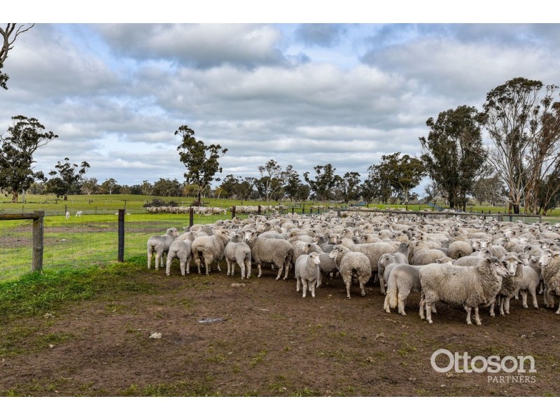 Sect 21 Walkington Hills Road, Frances SA 5262