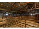 Sect 21 Walkington Hills Road, Frances SA 5262