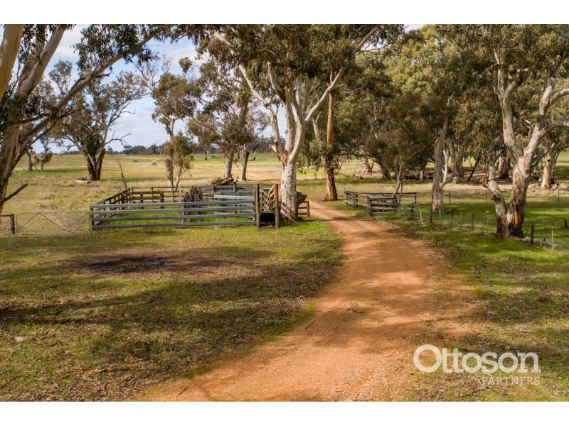 Sect 21 Walkington Hills Road, Frances SA 5262