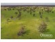 Sect 21 Walkington Hills Road, Frances SA 5262
