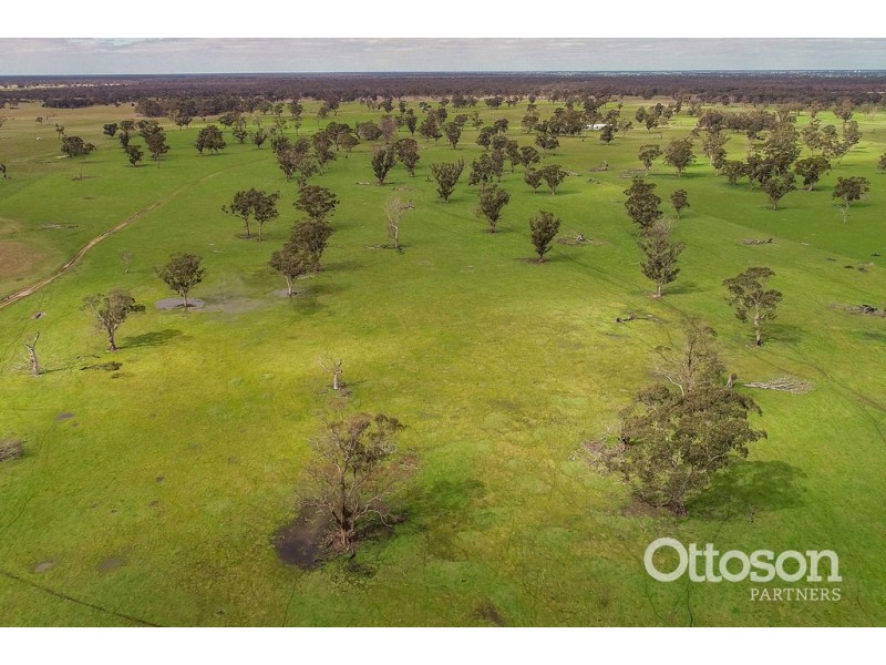 Sect 21 Walkington Hills Road, Frances SA 5262