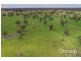Sect 21 Walkington Hills Road, Frances SA 5262