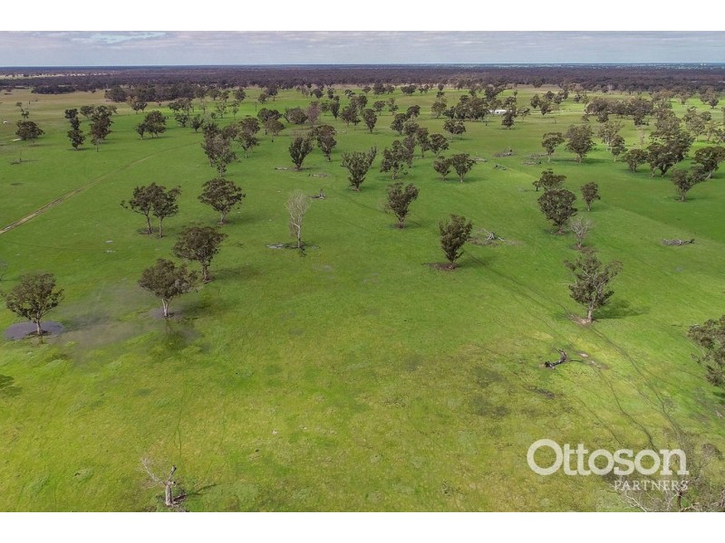 Sect 21 Walkington Hills Road, Frances SA 5262