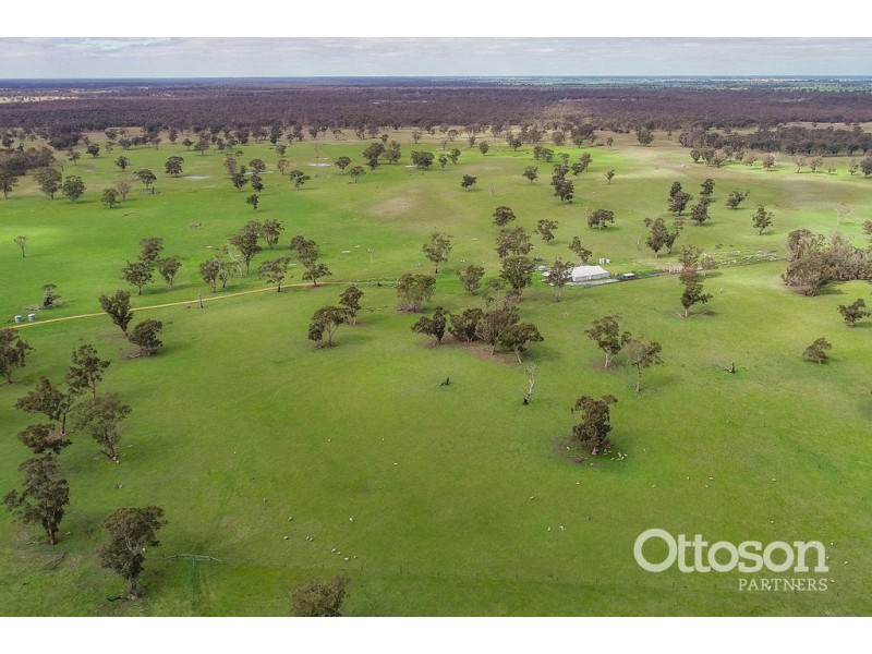 Sect 21 Walkington Hills Road, Frances SA 5262