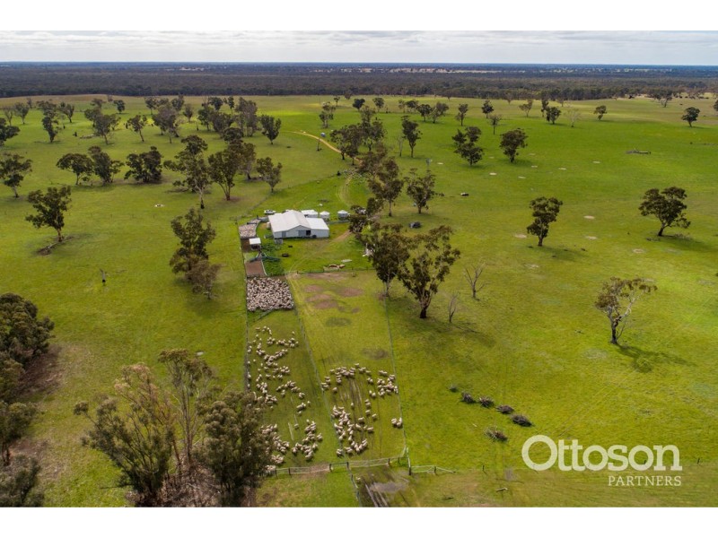 Sect 21 Walkington Hills Road, Frances SA 5262