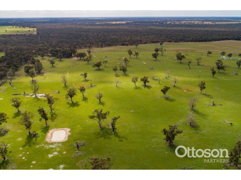 Sect 21 Walkington Hills Road, Frances SA 5262