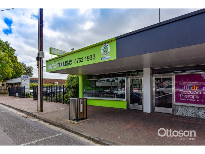 161 Smith Street, Naracoorte SA 5271