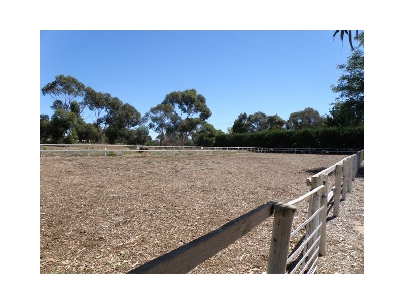 25 Pinkerton Road, Naracoorte SA 5271