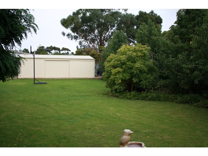 8 Gum Avenue, Naracoorte SA 5271