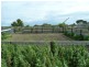 ‘Prospect’ Railway Tce, Kingston Se SA 5275