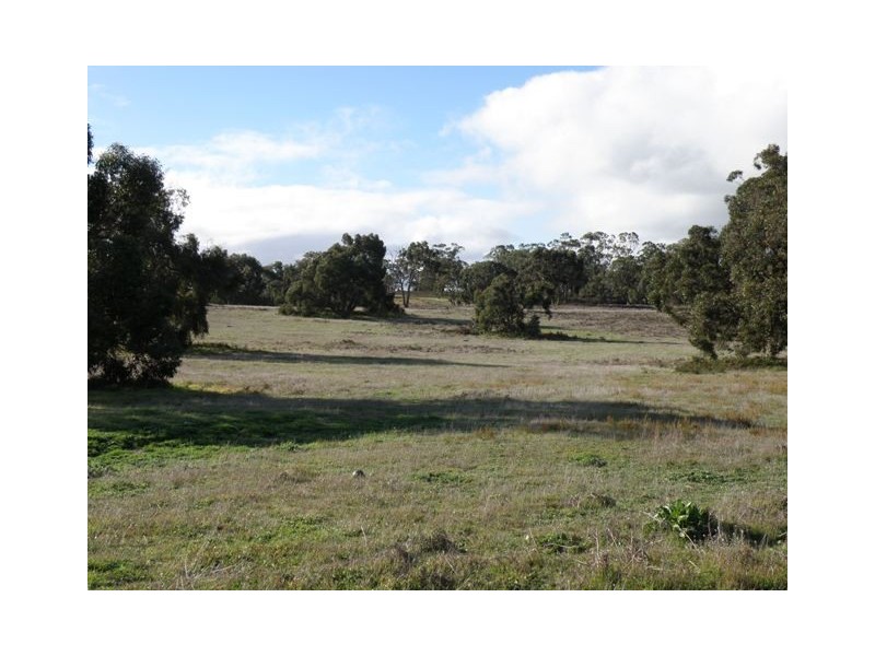 19 Struan House Rd, Naracoorte SA 5271