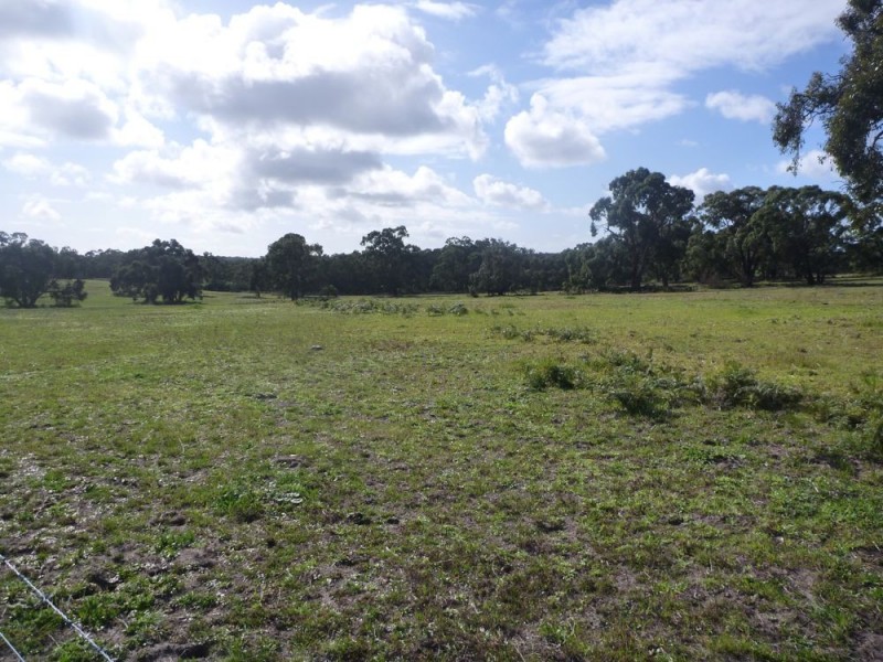 19 Struan House Rd, Naracoorte SA 5271