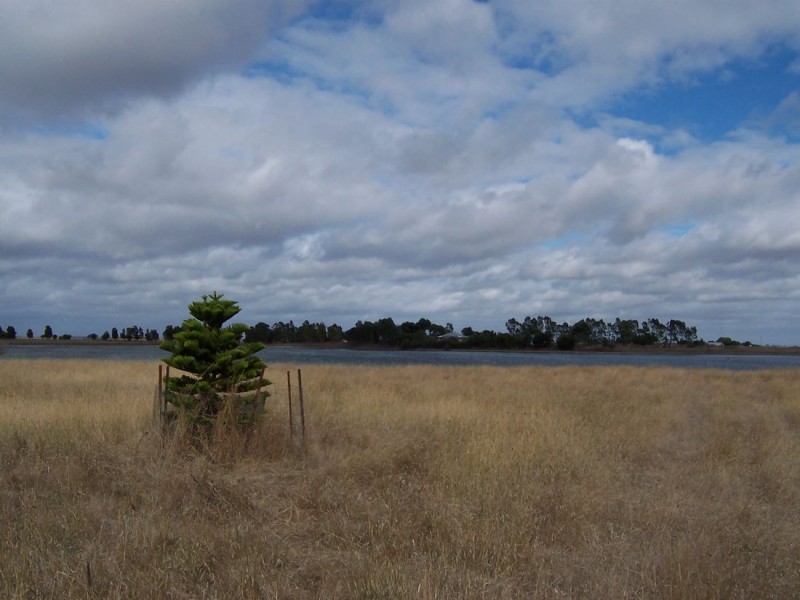 xx Moyhall Road, Naracoorte SA 5271