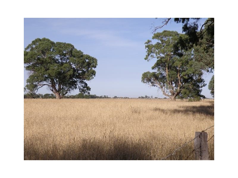 xx Vanstones Road, Naracoorte SA 5271