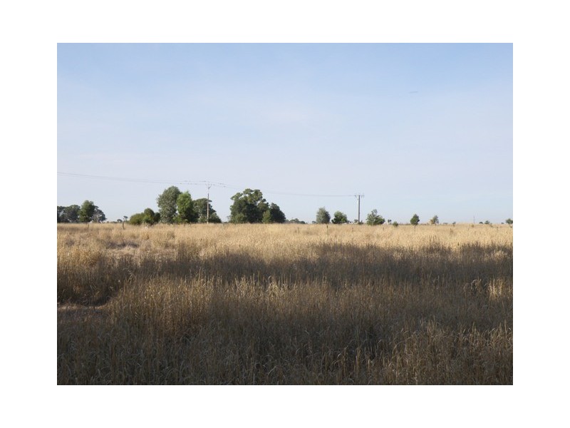 xx Vanstones Road, Naracoorte SA 5271