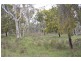 Lot 31-32 Burkes Road, Naracoorte SA 5271