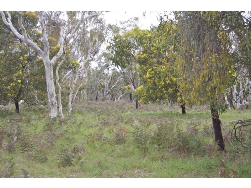 Lot 31-32 Burkes Road, Naracoorte SA 5271