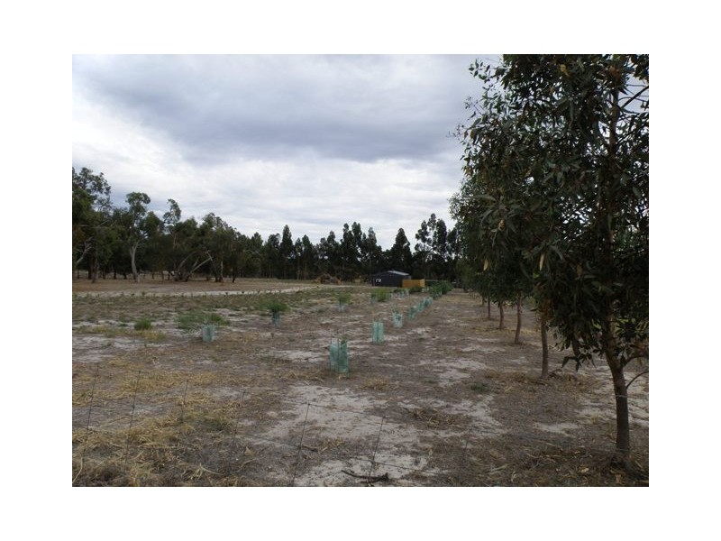 Lot 103 Martins Road, Naracoorte SA 5271