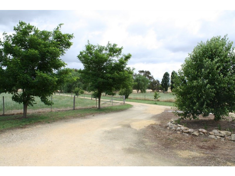Lot 2 Wilkins Road, Naracoorte SA 5271
