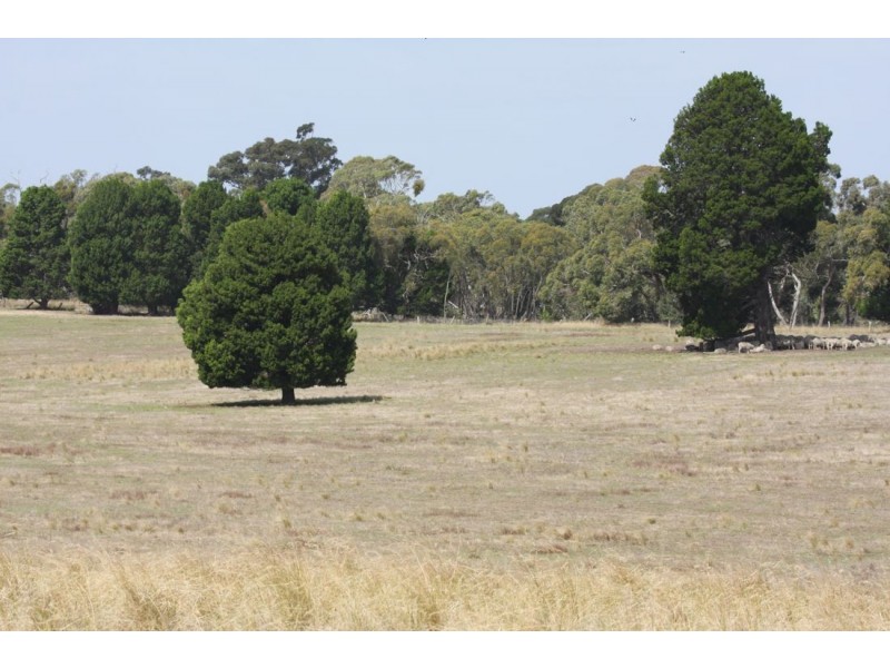 xx Edenhope – Kaniva Road, Minimay VIC 3413