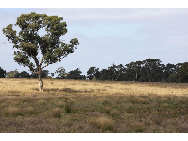 xx Edenhope – Kaniva Road, Minimay VIC 3413