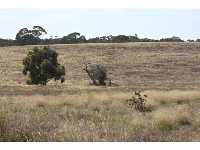 xx Edenhope – Kaniva Road, Minimay VIC 3413