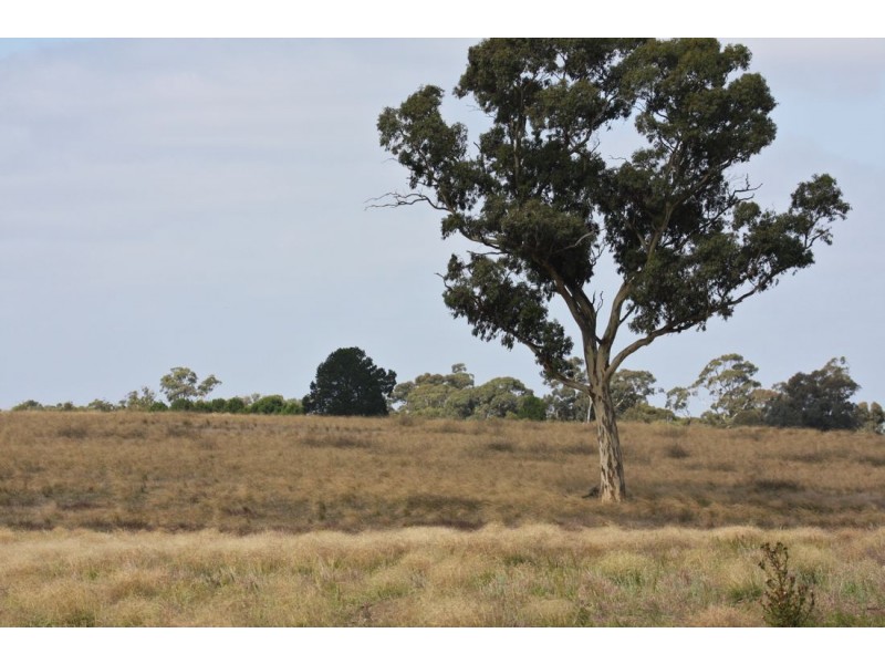 xx Edenhope – Kaniva Road, Minimay VIC 3413