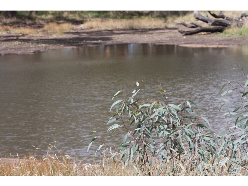 xx Edenhope – Kaniva Road, Minimay VIC 3413