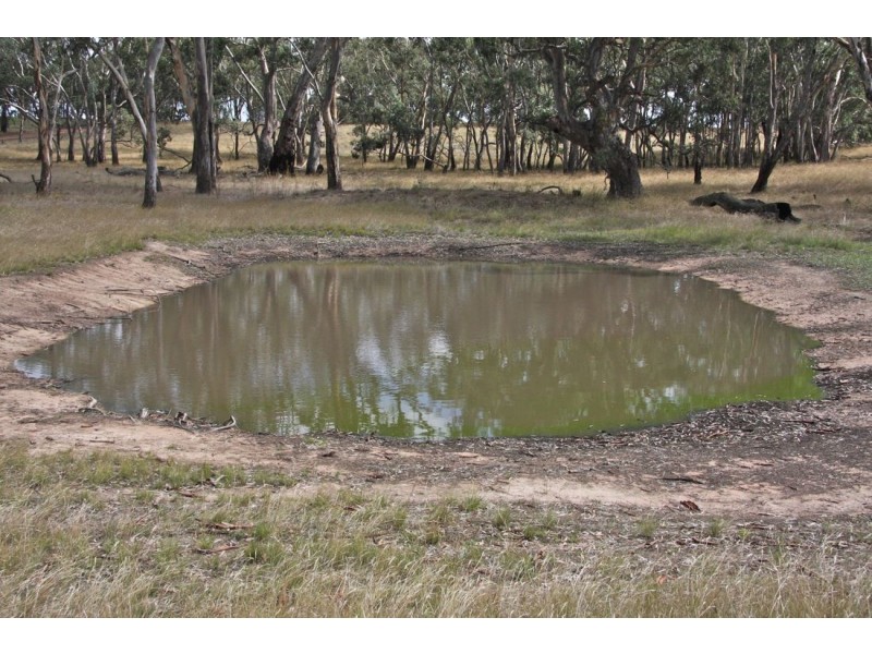 xx Edenhope – Kaniva Road, Minimay VIC 3413