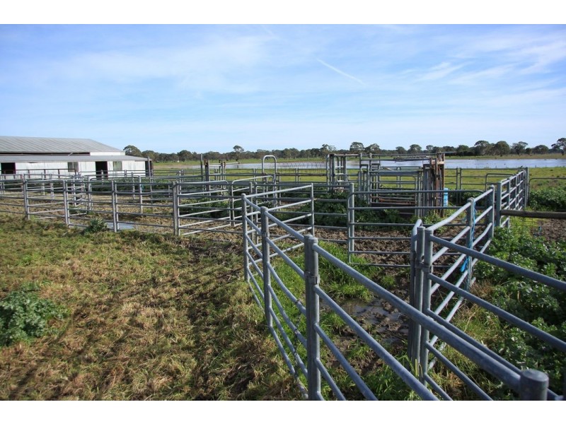 “Alonep” Penola – Lucindale Road, Penola SA 5277