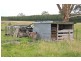 205 Capelthornes Road, Langkoop VIC 3318