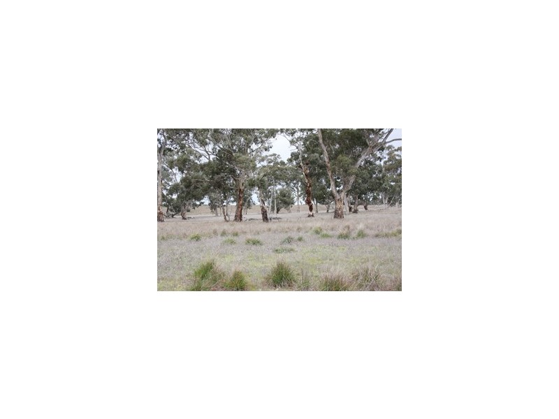 00 Broadview Road, Western Flat SA 5268