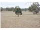 00 Broadview Road, Western Flat SA 5268