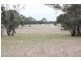 00 Broadview Road, Western Flat SA 5268