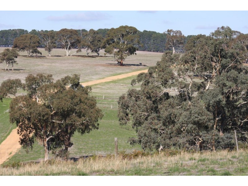 ‘Moorex’ Naracoorte/Bordertown Road, Naracoorte SA 5271
