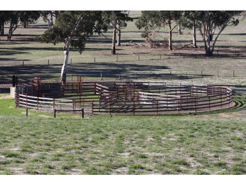 ‘Moorex’ Naracoorte/Bordertown Road, Naracoorte SA 5271