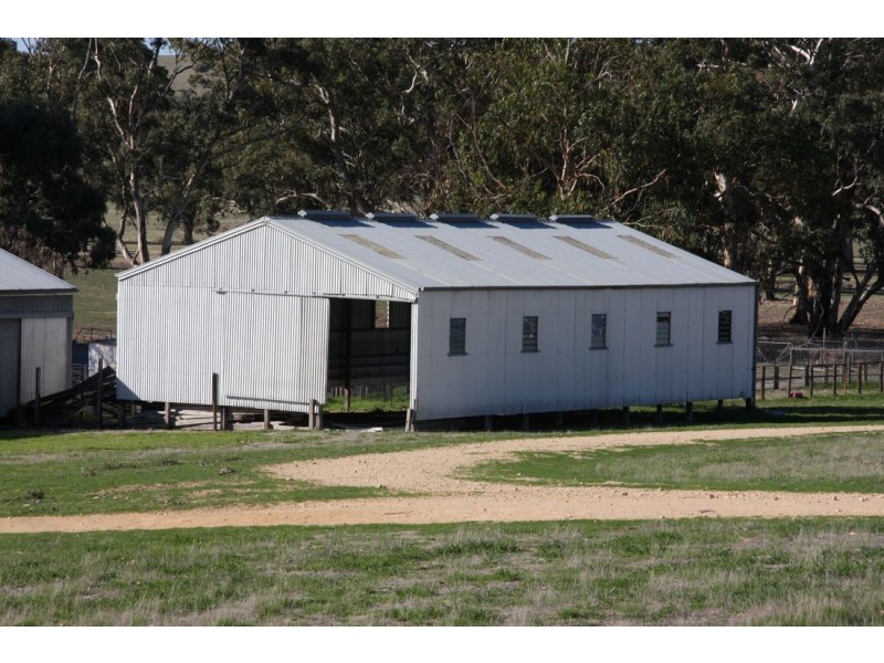 ‘Moorex’ Naracoorte/Bordertown Road, Naracoorte SA 5271