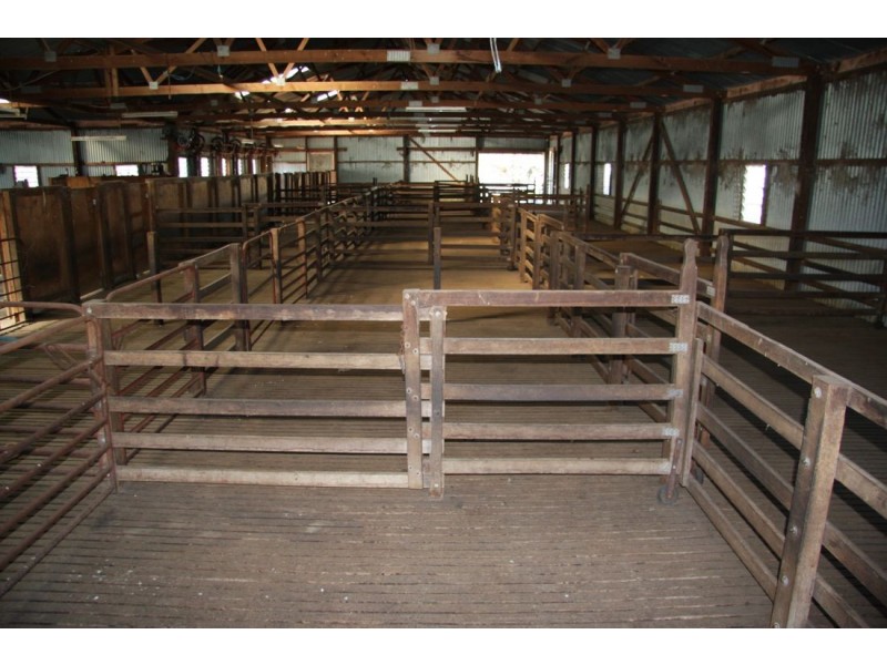 ‘Moorex’ Naracoorte/Bordertown Road, Naracoorte SA 5271