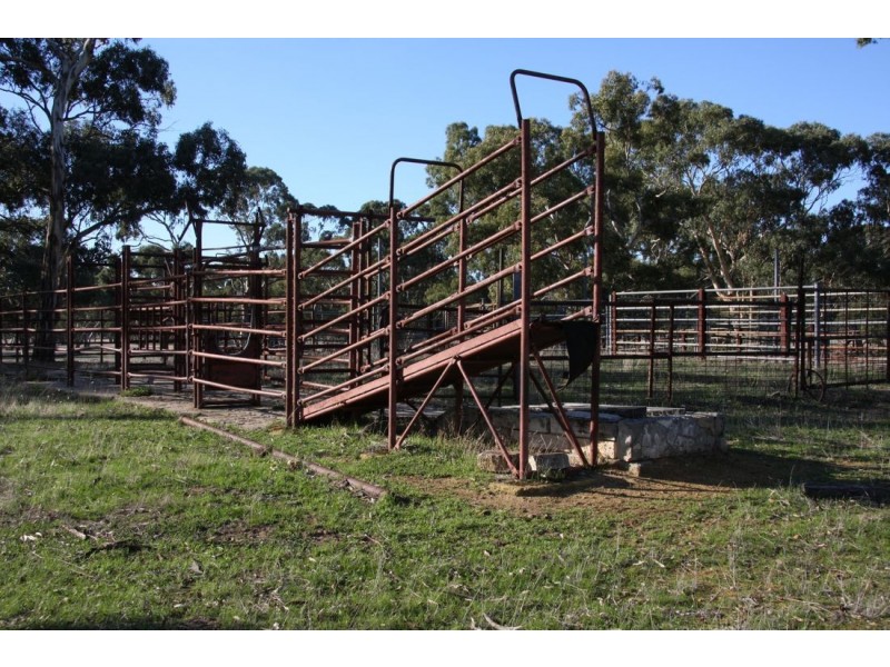 ‘Moorex’ Naracoorte/Bordertown Road, Naracoorte SA 5271