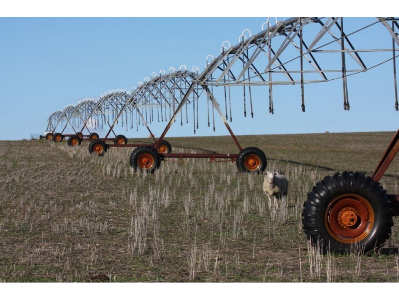 ‘Moorex’ Naracoorte/Bordertown Road, Naracoorte SA 5271