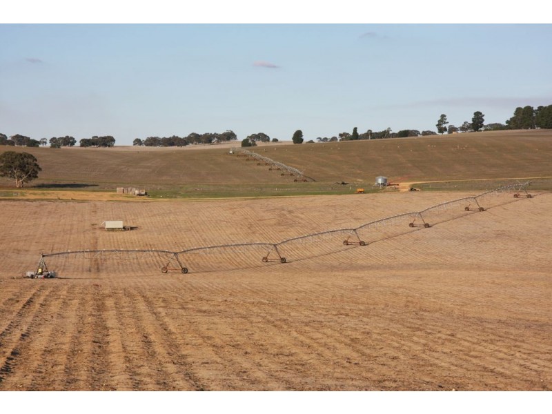 ‘Moorex’ Naracoorte/Bordertown Road, Naracoorte SA 5271