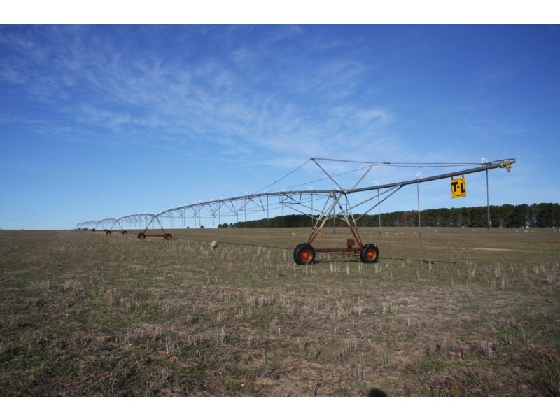 ‘Moorex’ Naracoorte/Bordertown Road, Naracoorte SA 5271