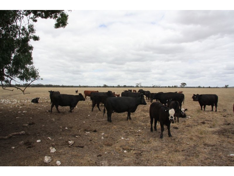 ‘Rosedale’ Rowneys Road, Mundulla SA 5270