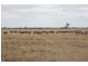 ‘Rosedale’ Rowneys Road, Mundulla SA 5270