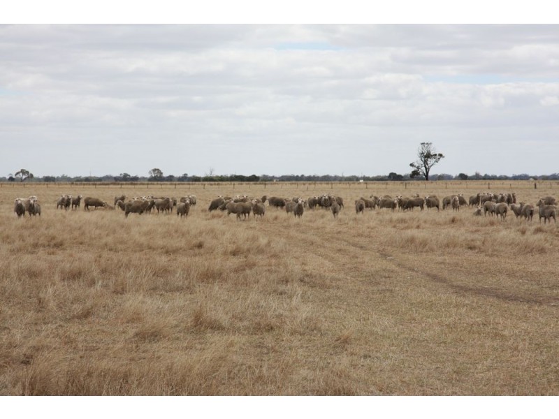 ‘Rosedale’ Rowneys Road, Mundulla SA 5270