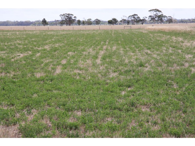 ‘Rosedale’ Rowneys Road, Mundulla SA 5270