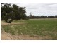 ‘Rosedale’ Rowneys Road, Mundulla SA 5270